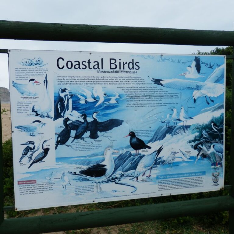 מפרצי הדיג לאורך נתיב הגנים הדרום אפריקאי