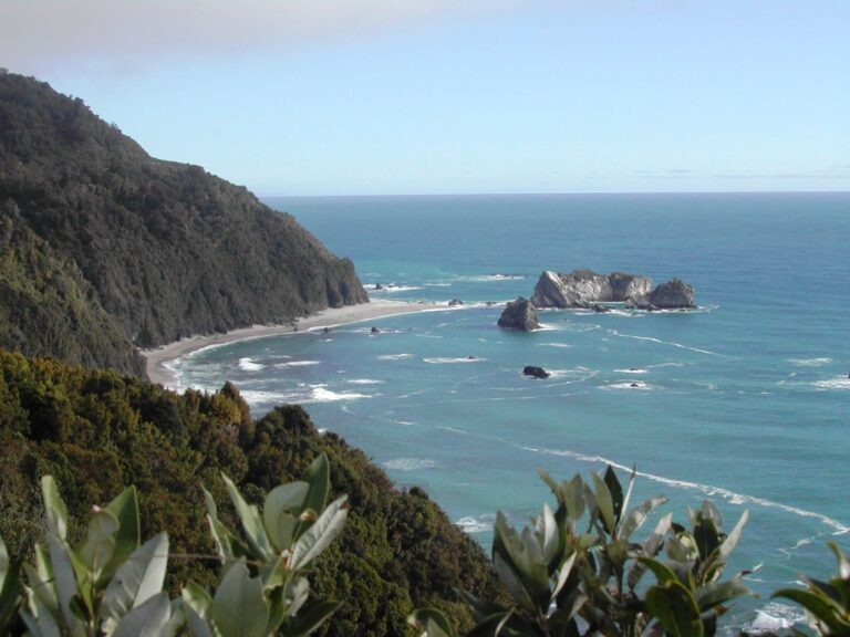 מפרצים ניו זלנדים