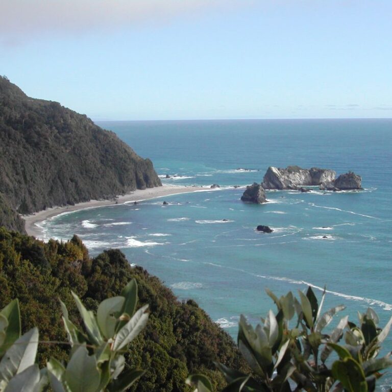 מפרצים ניו זלנדים