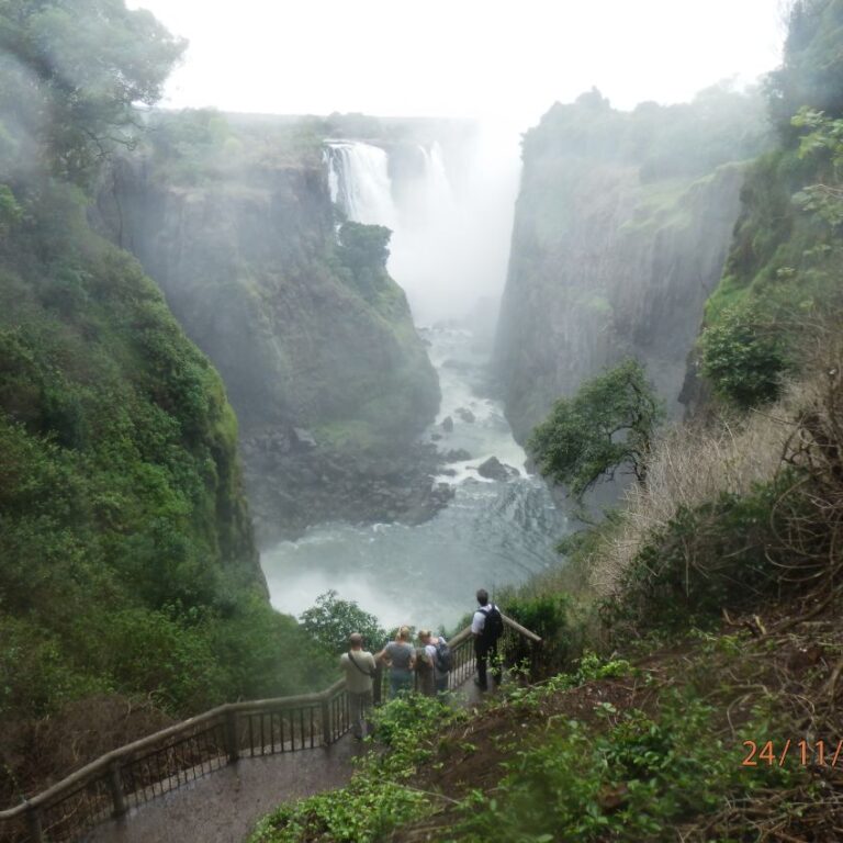 מפלי ויקטוריה