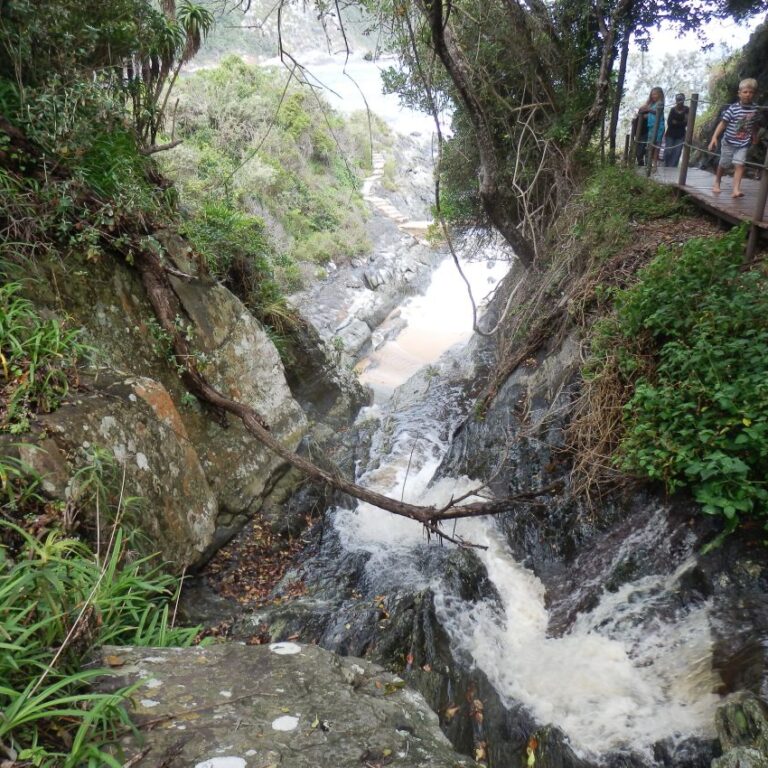 מראות בנתיב הגנים המופלא