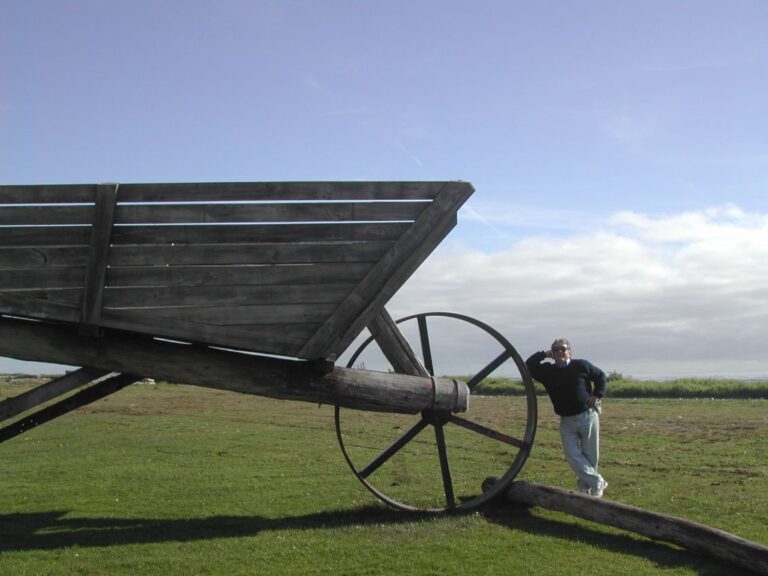 מריצת ענק בניו זילנד