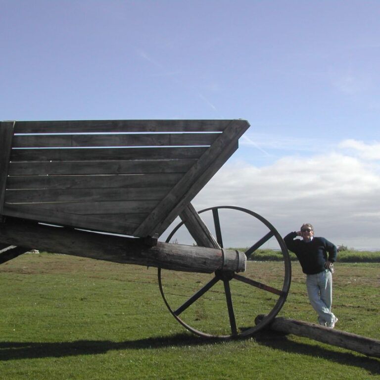 מריצת ענק בניו זילנד