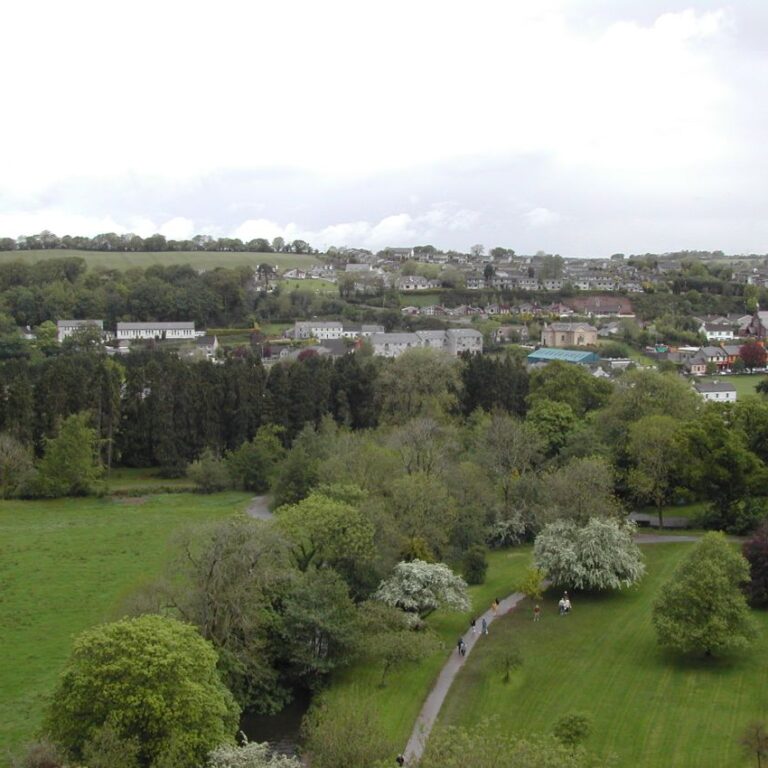 נוף אירי הנשקף ממצודת בלארני