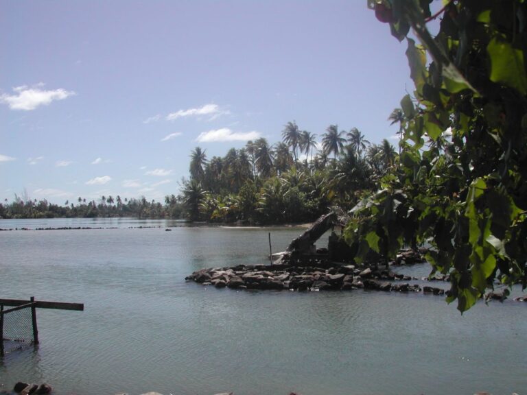 נוף בדרום פאציפי