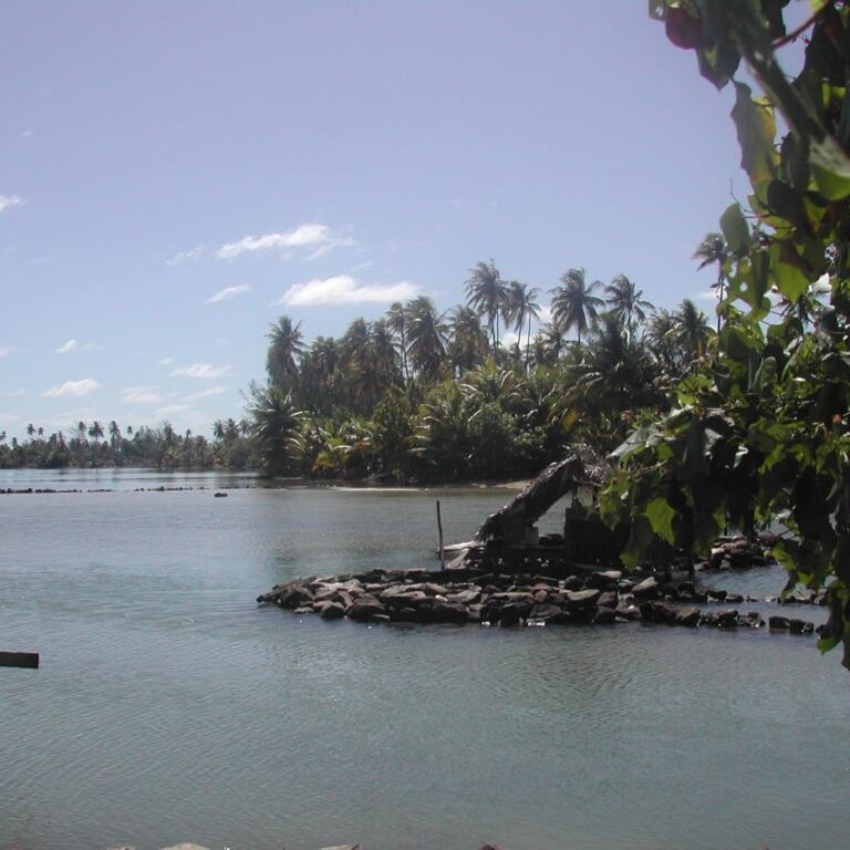 נוף בדרום פאציפי