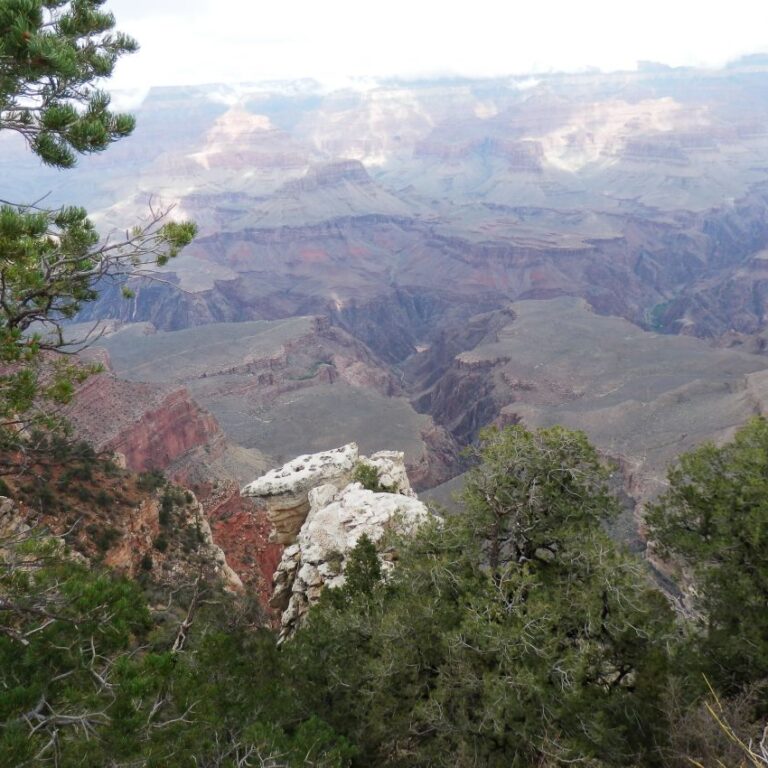 נוף דרום אפריקני