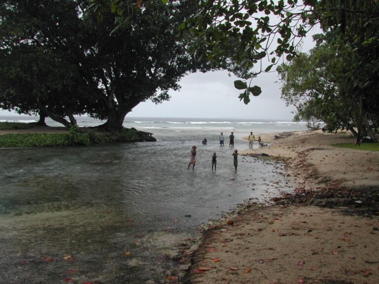 נוף פפואני טיפוסי