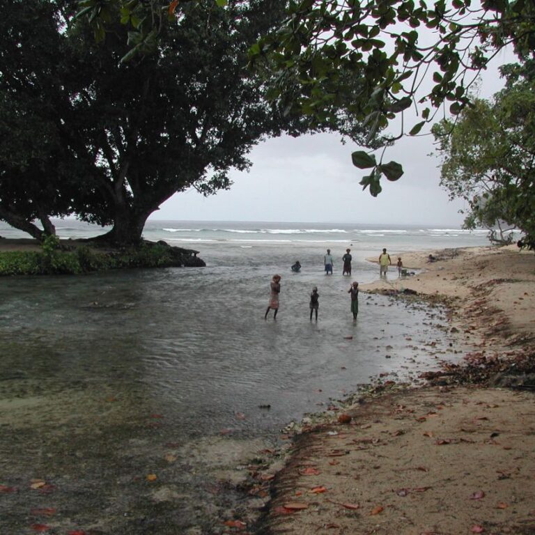 נוף פפואני טיפוסי