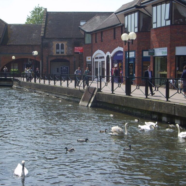 נחלים עם ברבורים שוחים בנחת בעיירות דרום מערב אנגליה