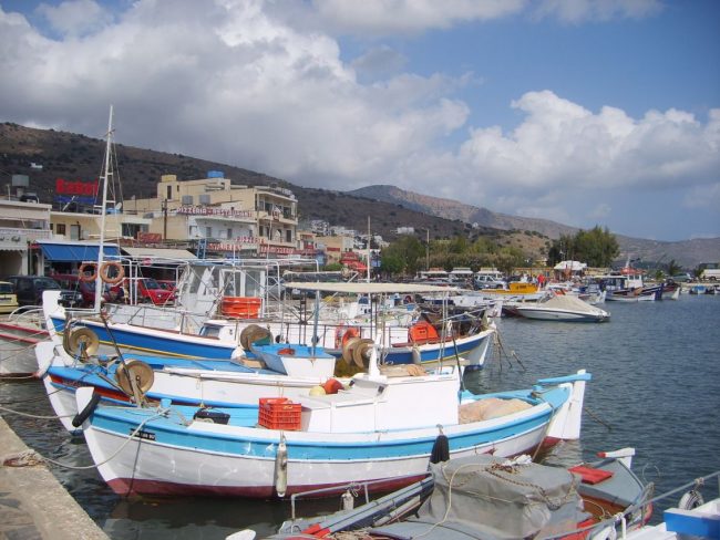 נמלים ציוריים בכרתים