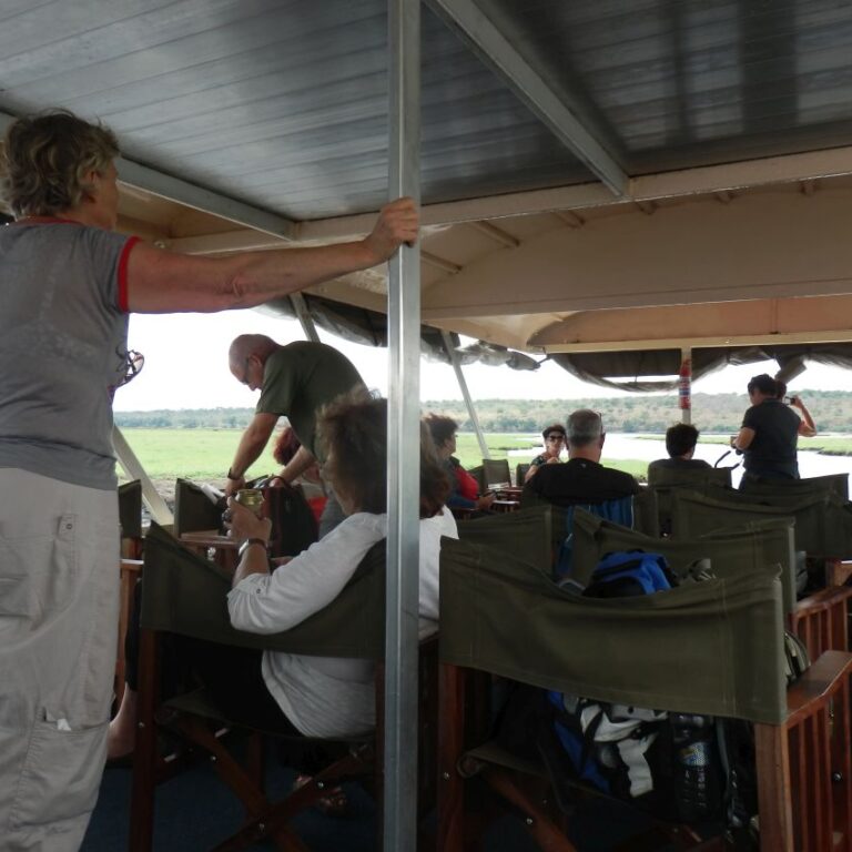 הפלגה רגועה על נהר הזמבזי