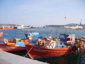 עיר הנמל וולוס במפרץ פאגאסיטיקוס