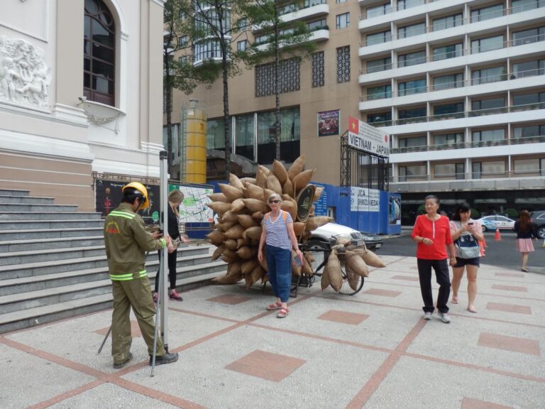 פירות מוזרים בהאנוי-ויאטנאם