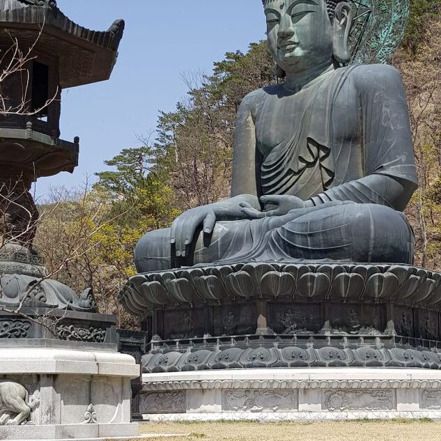 פסל בודהא ענק בתוככי השמורה