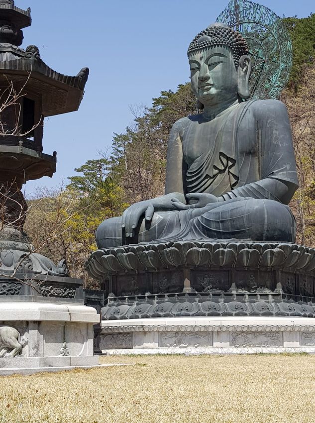 פסל בודהא ענק בתוככי השמורה
