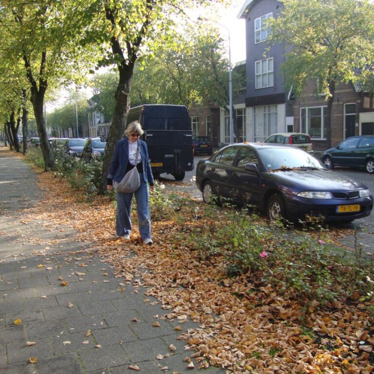 צביה בשלכת בהולנד-