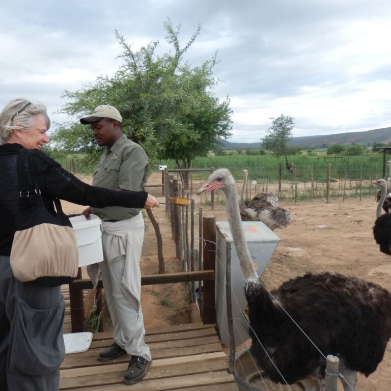 צביה עם ידידה