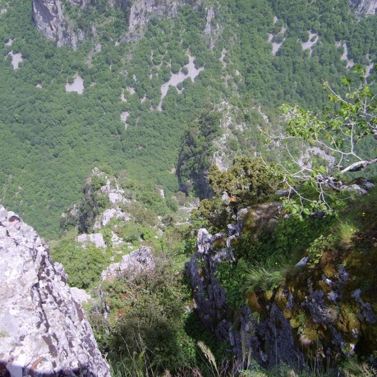 קניון ויקוס