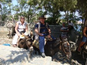 רכיבה על חמורים באי רודוס