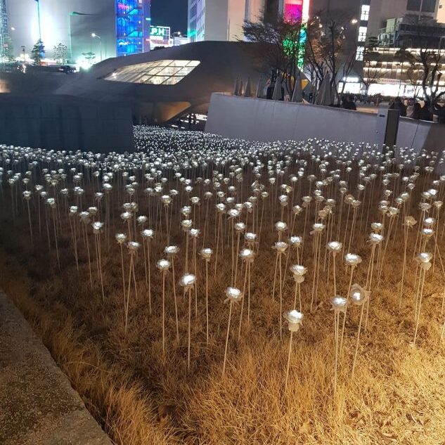 שדה ורדים הממוקם בתוך מבנה החללית המדהים בסיאול