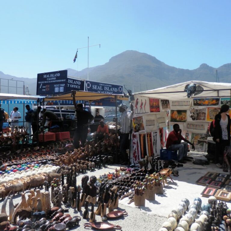 שוק אפריקני ליד מפרץ אריות הים