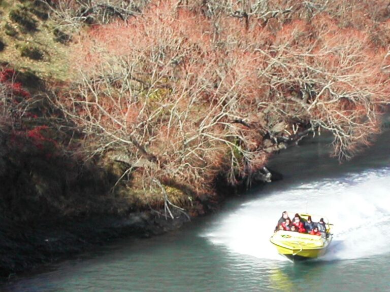 שיט בסירות סילון בעומק 10 סנטימטרים בניו זילנד