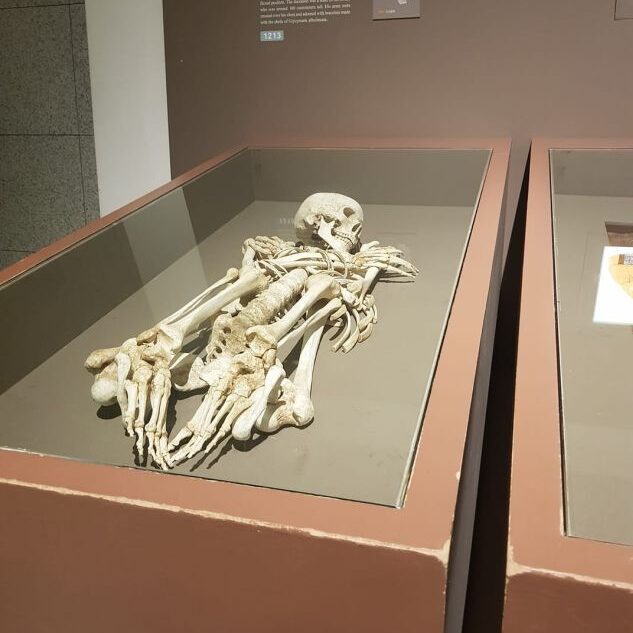 שלד של מלך קוריאני משולשלת סילה ששלטה בקוריאה כאלף שנים