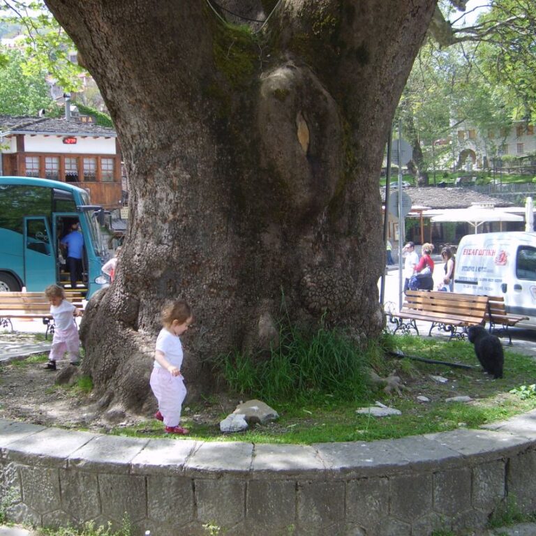 תינוקות משתעשעים מסביב לגזעו של עץ עתיק