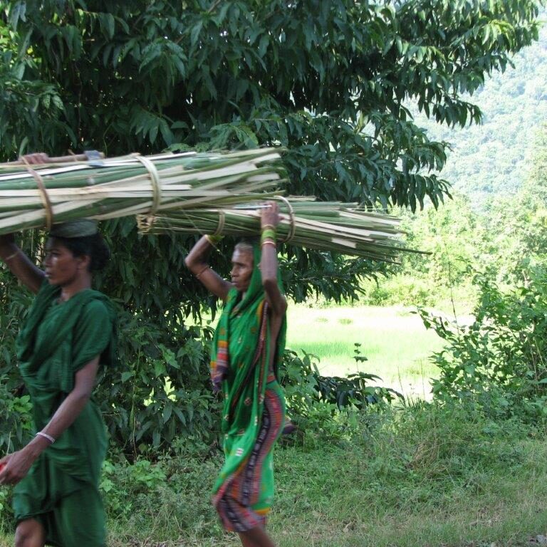 נשים הודיות עמלות