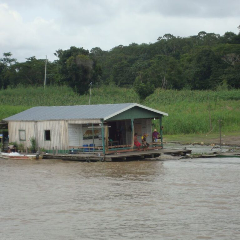 בית צף באמזונס