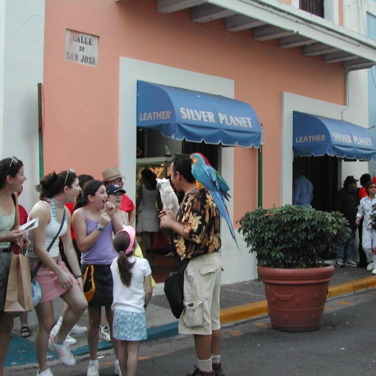 בילוי בפורטו ריקו עם בעל תוכים