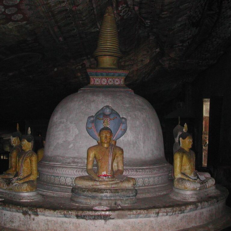 בתוככי מקדש השן