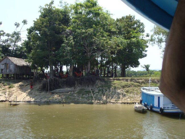 בתי מגורים על גדות האמזונס