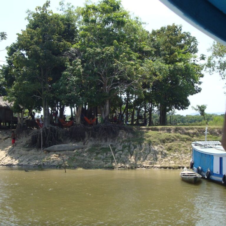 בתי מגורים על גדות האמזונס