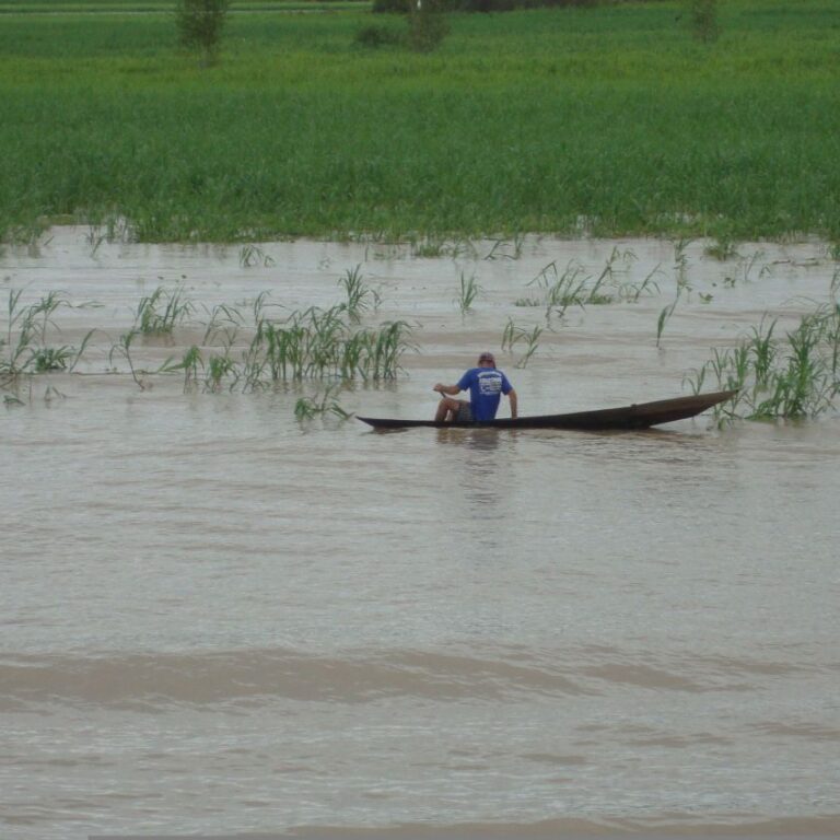 דייג באמזונס