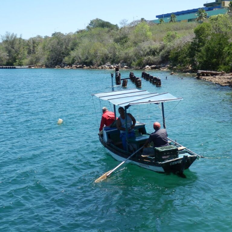 דייגים קובנים