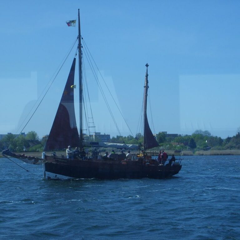 הים זורם בדמם של צאצאי הויקנגים