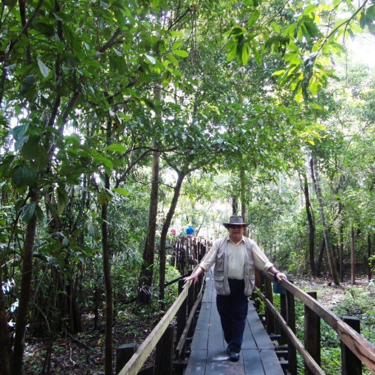 הליכה בג'ונגל לעבר שושנות המים הענקיות