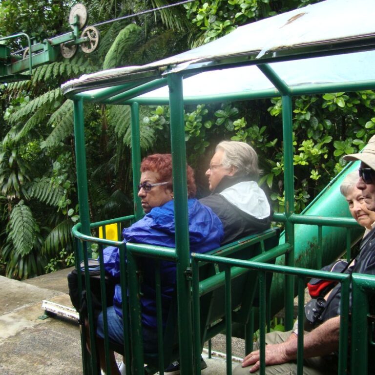 הפלגה לאמזונס מסע על צמרות העצים ברכבל באי קאריבי