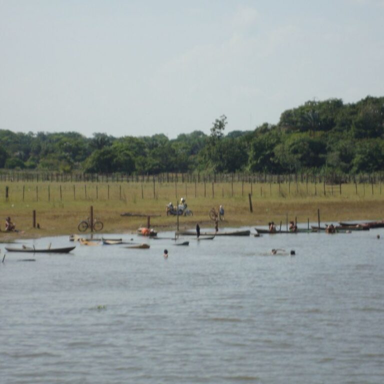 חוף רחצה באמזונס