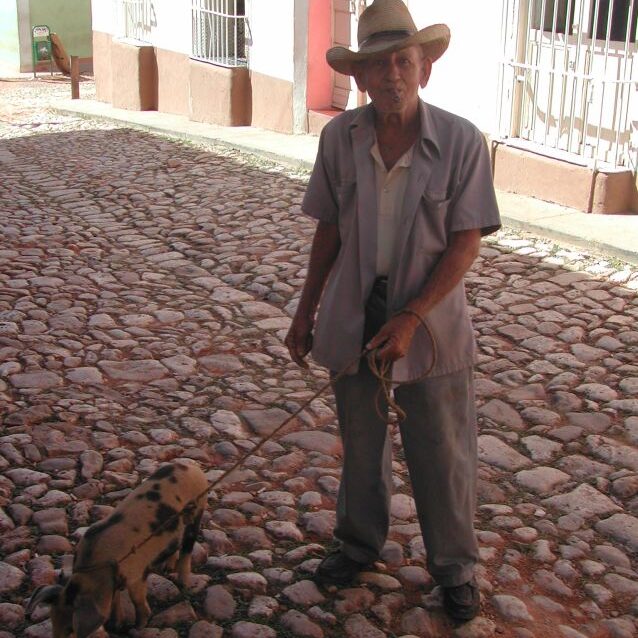 חית מחמד קובנית
