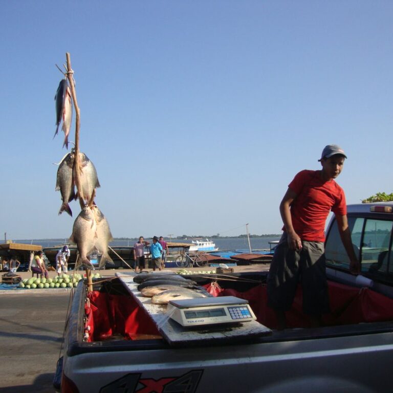 חנות דגים באמזונס