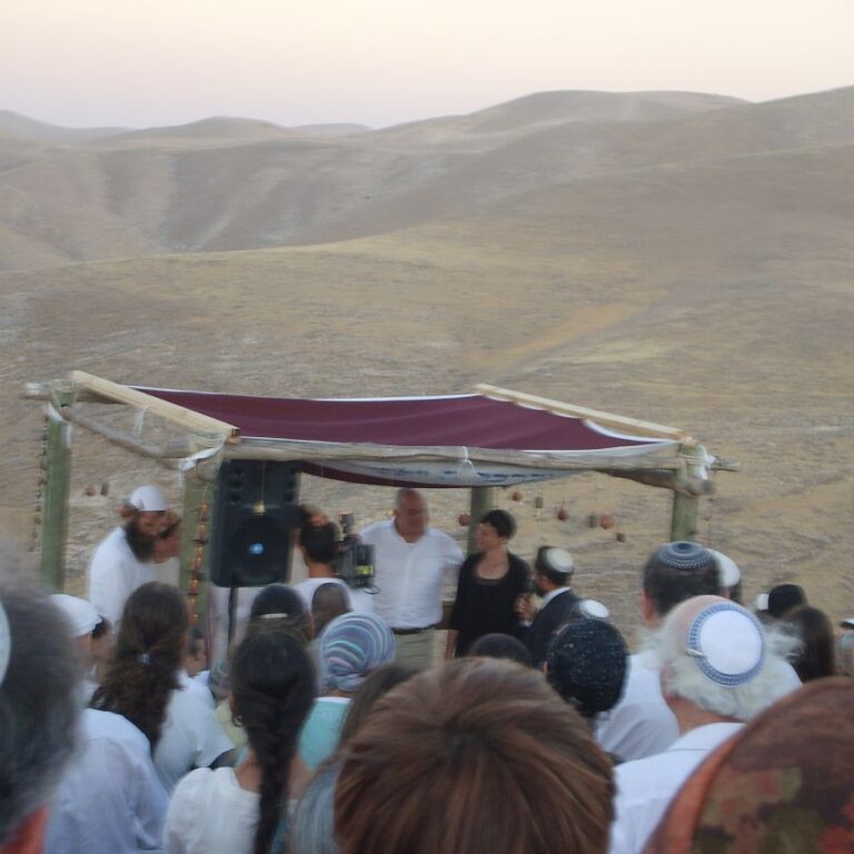 חתונה מדברית של בתה של ורד ואלחנן נועם, זוכת פרס ישראל