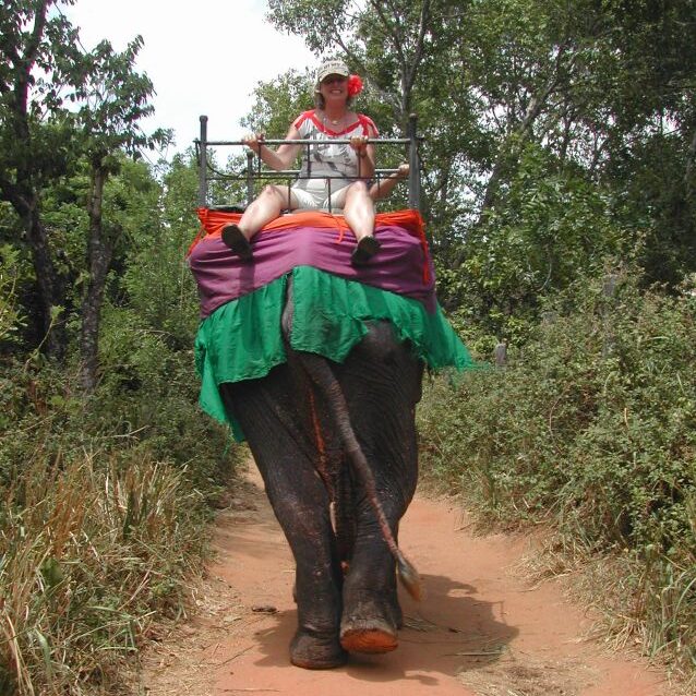 נהנים מטיול עם הפיל