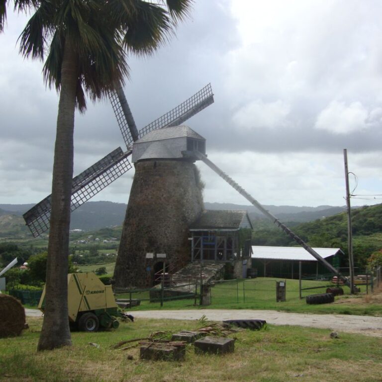 טחנת רוח בג'מייקה