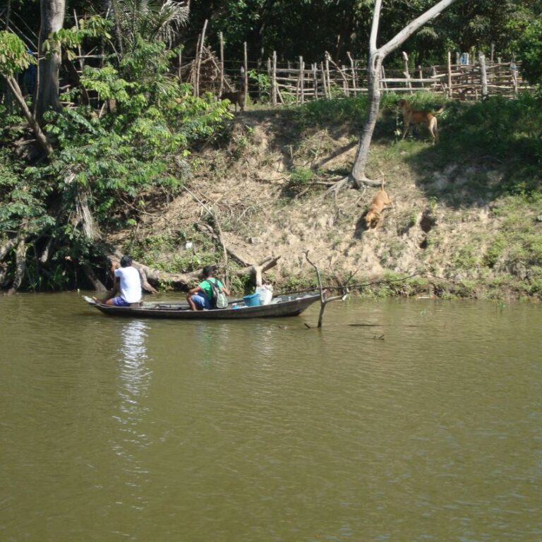 ילד חוזר מבית הספר על גבי סירה