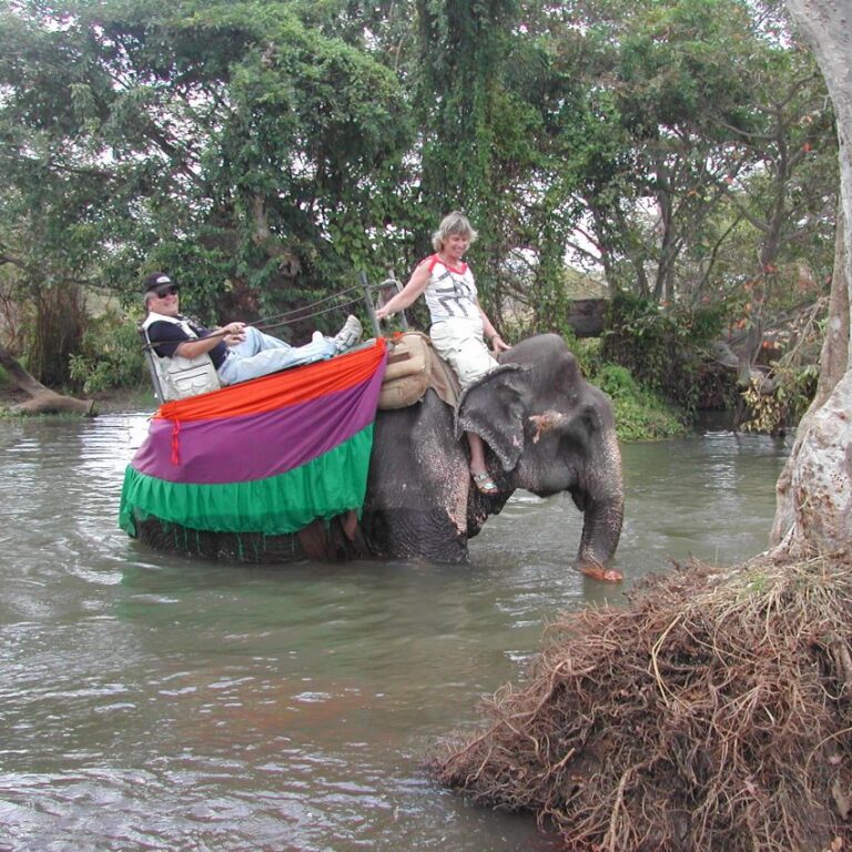 כמעט טובעים עם הפיל בביצה מקומית