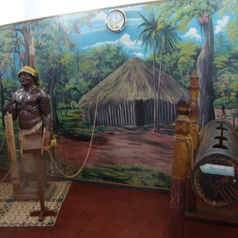 כפר אינדיאני באמזונס בזמנו