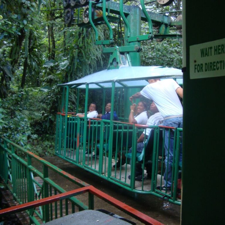 מסע בקרונית אל ראשי העצים בג'ונגל הקאריבי